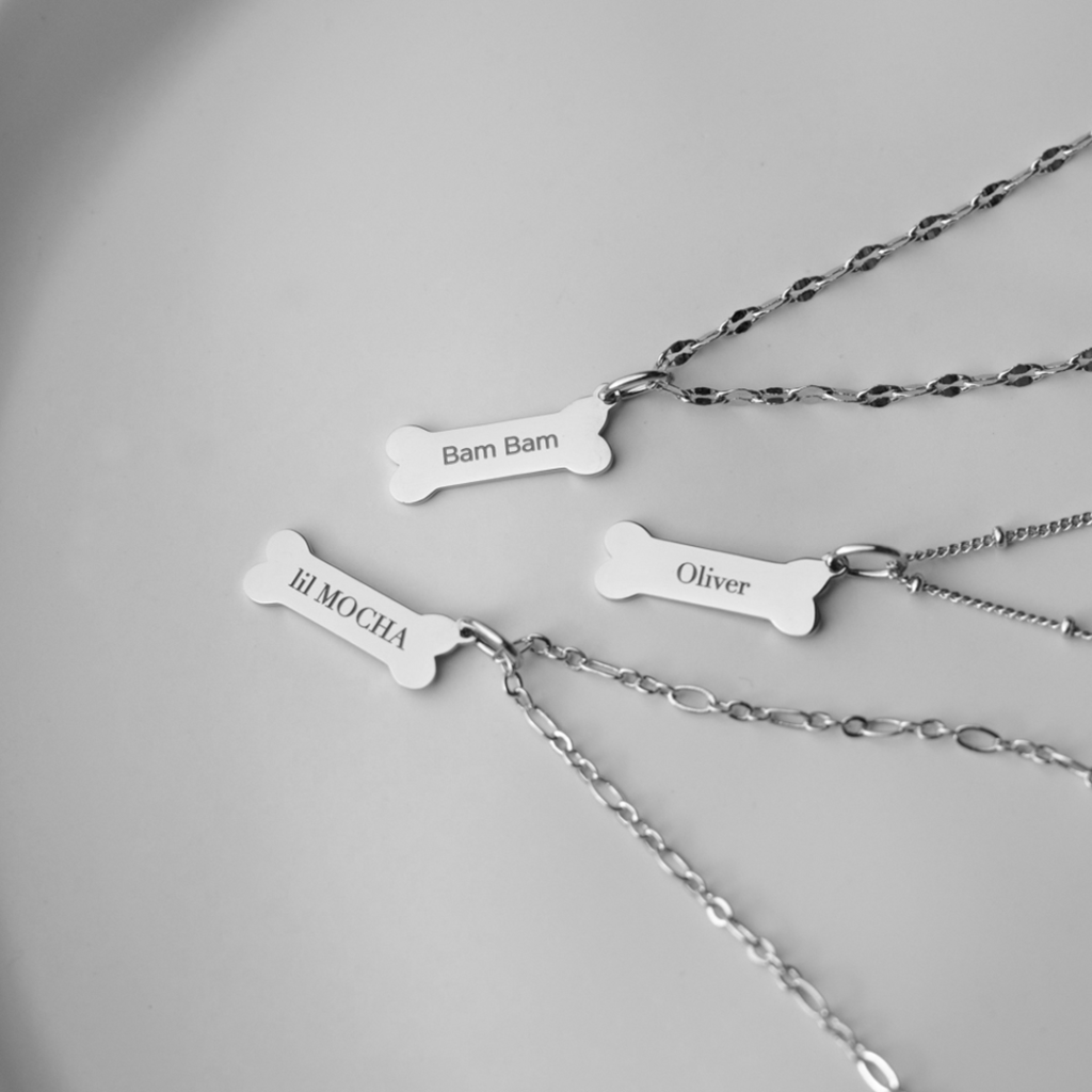 White background with 3 silver dog bone inscription tags with chains