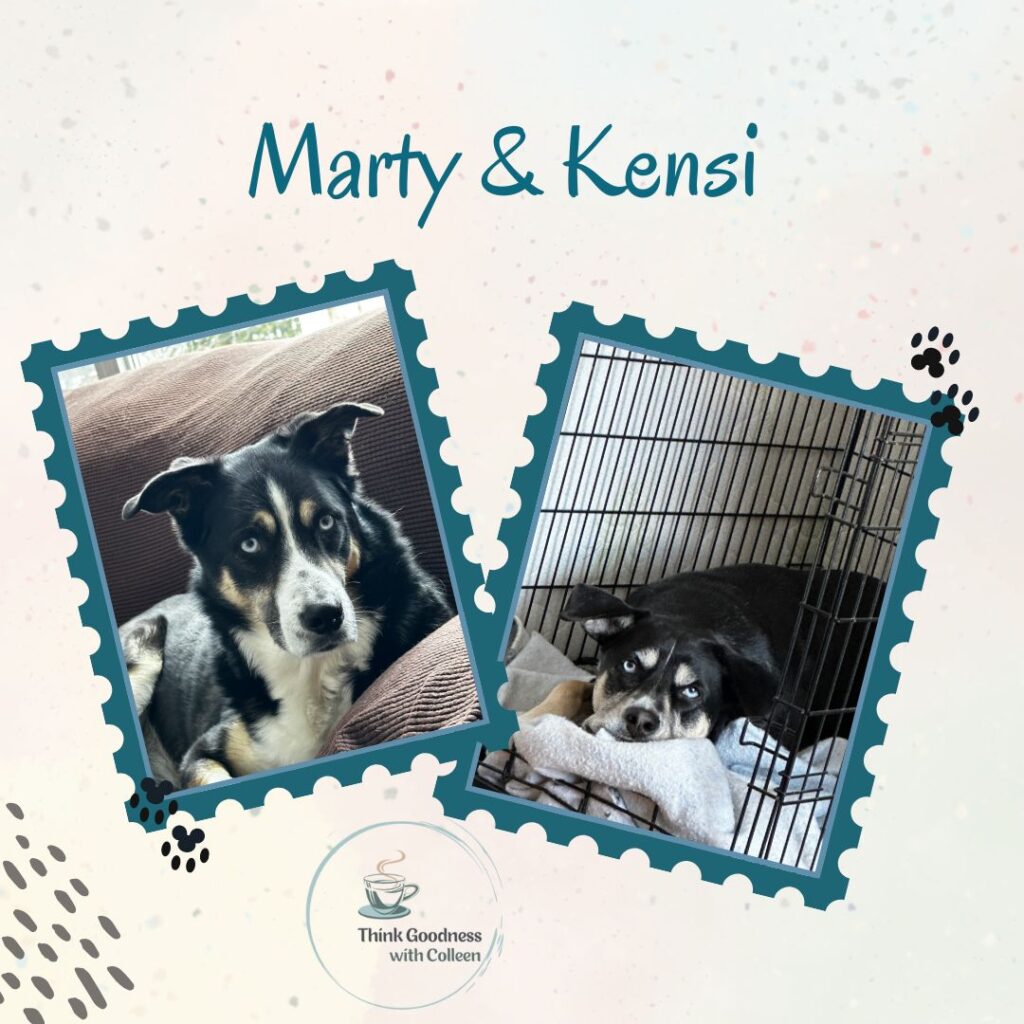 Beige graphic with 2 picture frames of my dogs Marty and Kensi