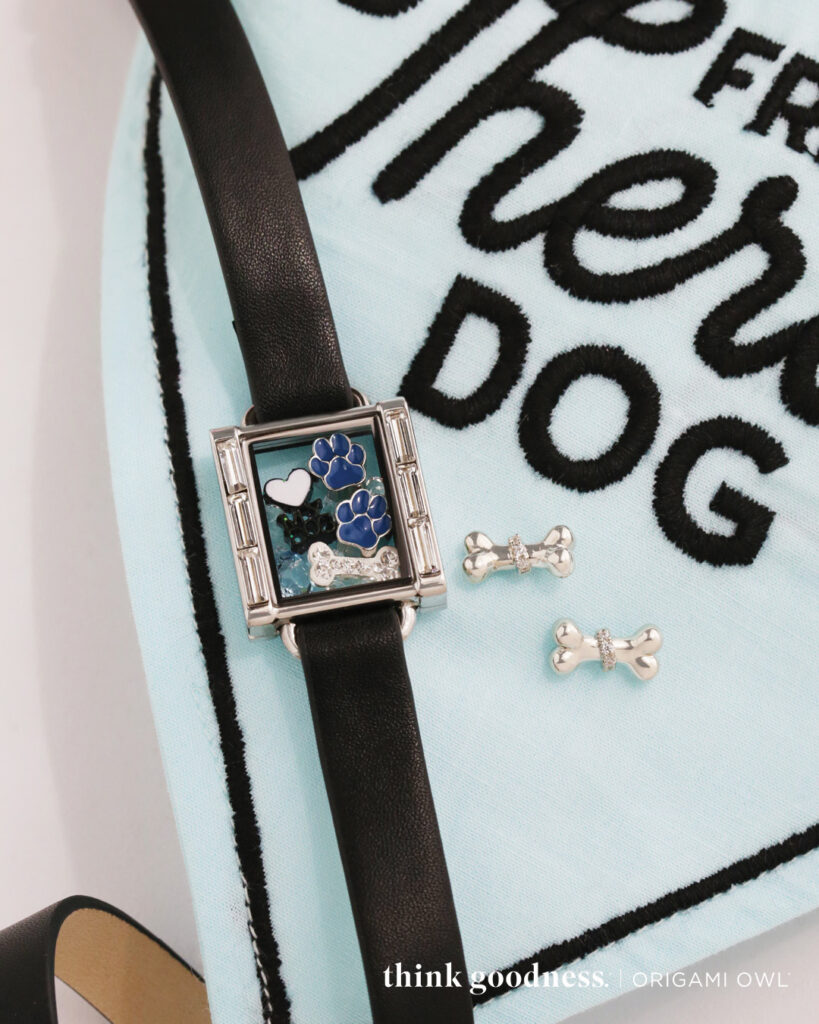 A silver locket bracelet with a black strap with a blue paw charm, a dog bone charm and heart charms