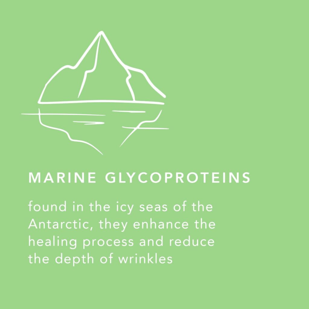 A light green describing Marine glycoproteins