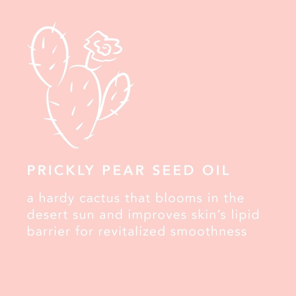 A pink graphic about prickly pear seed oil