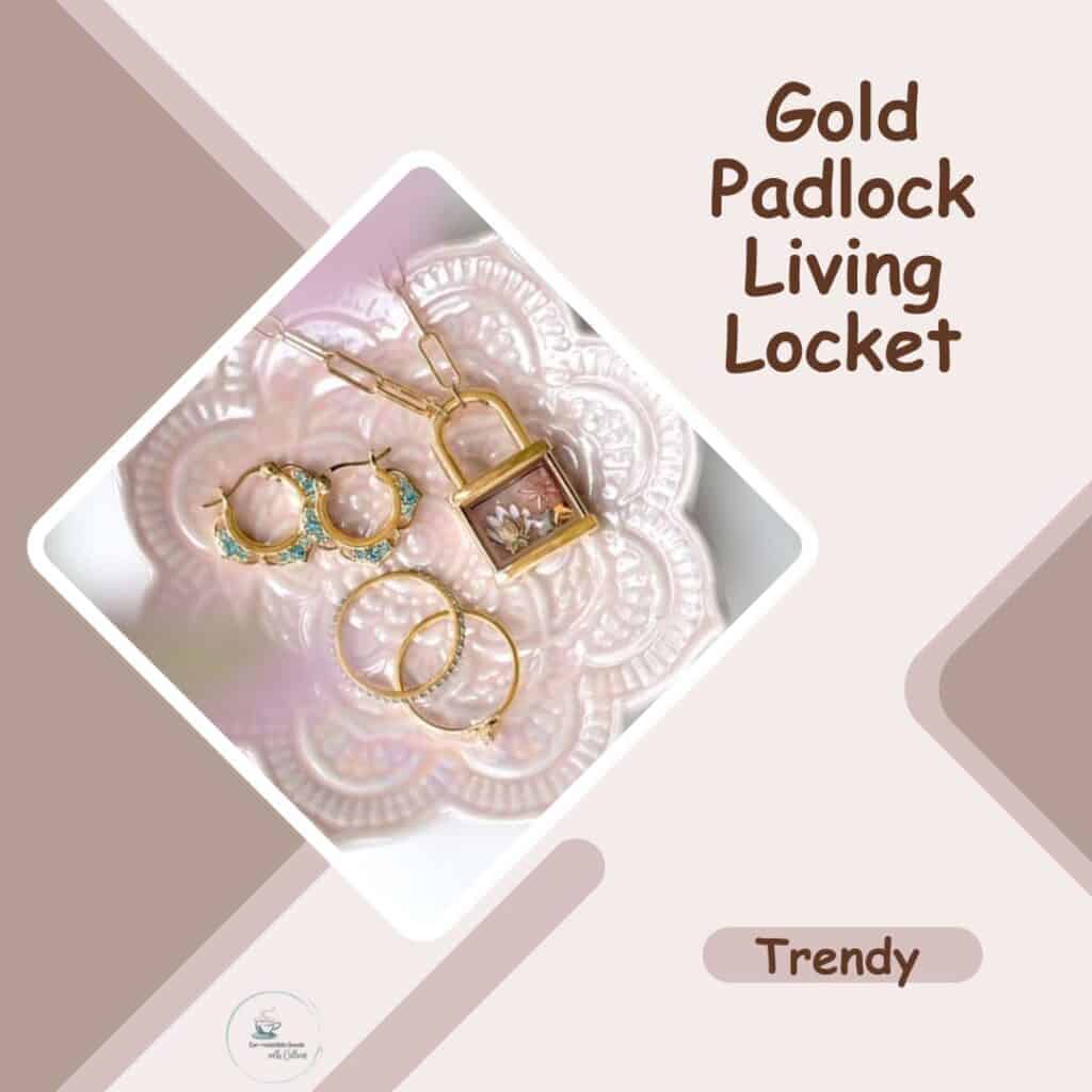 A dusty rose and light pink image showing a picture of a trendy gold padlock living locket